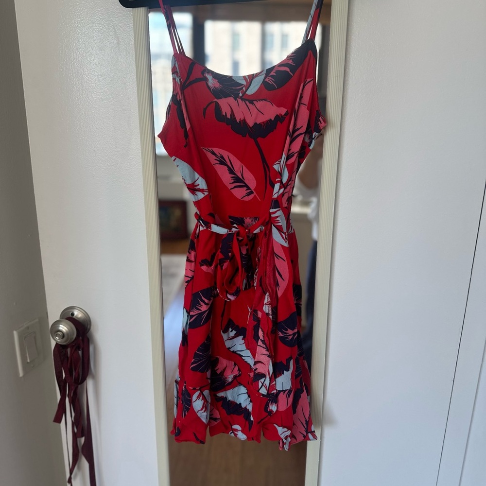 Express Red Floral Dress